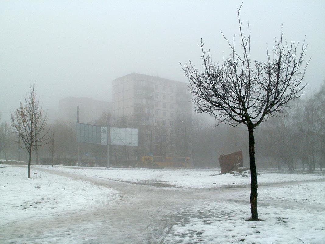 Туманным днём - Сергей Тарабара