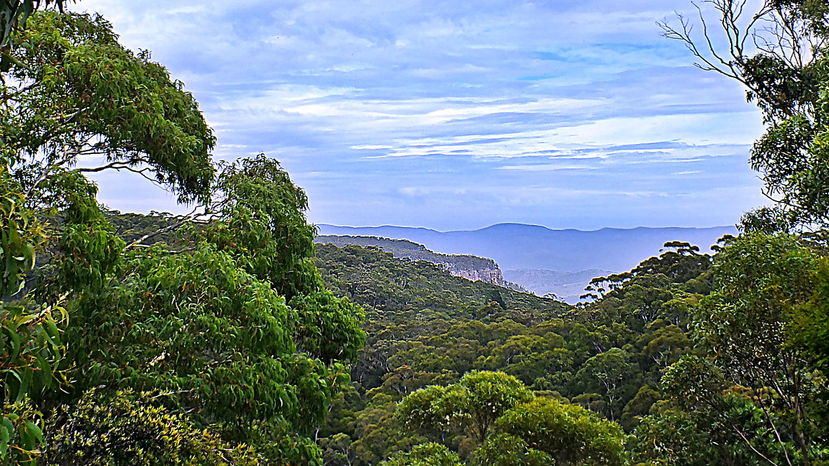 Australia. NSW. BLUE MOUNTAINS. Katoomba. 31/12/2016. - Rauf 