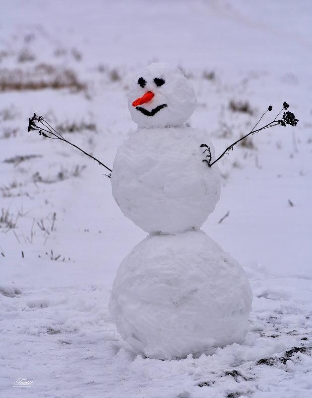 Первый Снеговик! - Sergey (Apg)