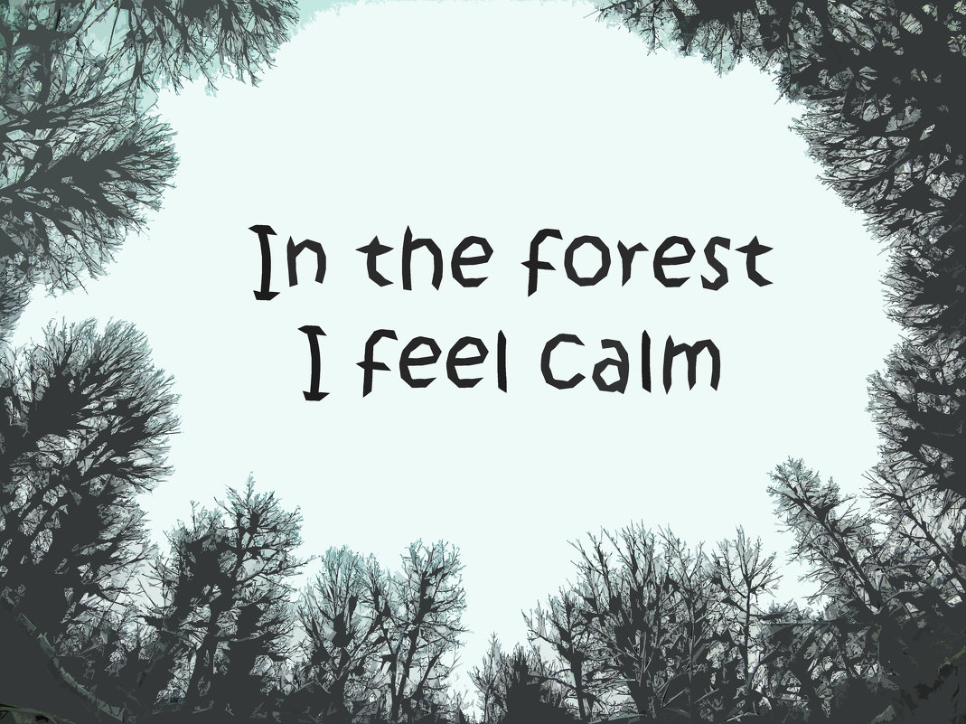 In the forest I feel calm - Franky Fraker 