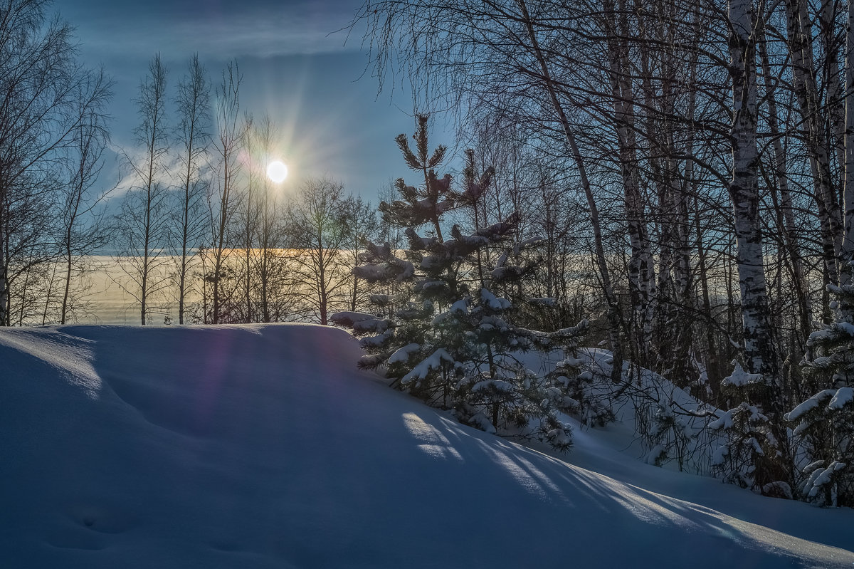 Мороз и Солнце 2 - Андрей Дворников
