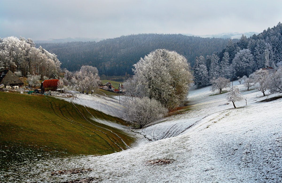 зимне-осенний пейзаж - Elena Wymann
