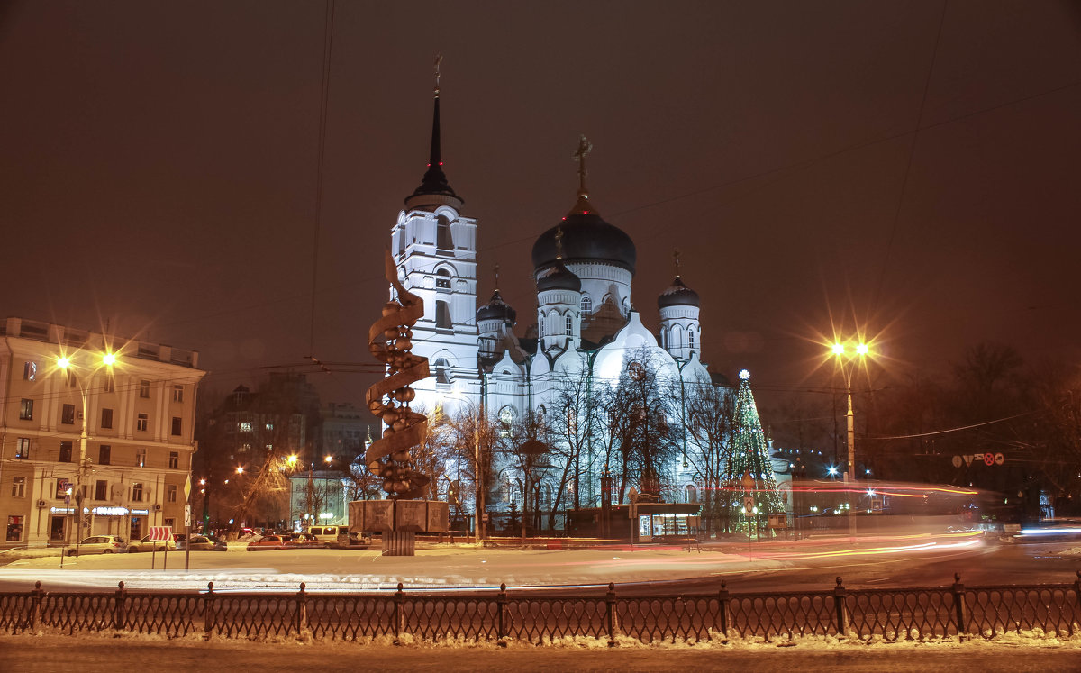 Благовещенский храм в Воронеже - Лариса Дорошенко