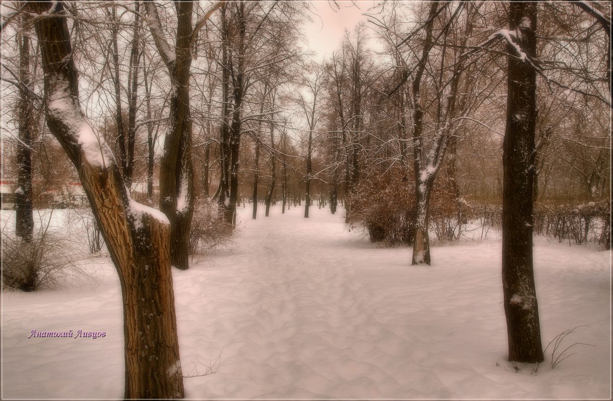 Зима в парке. - Anatol L