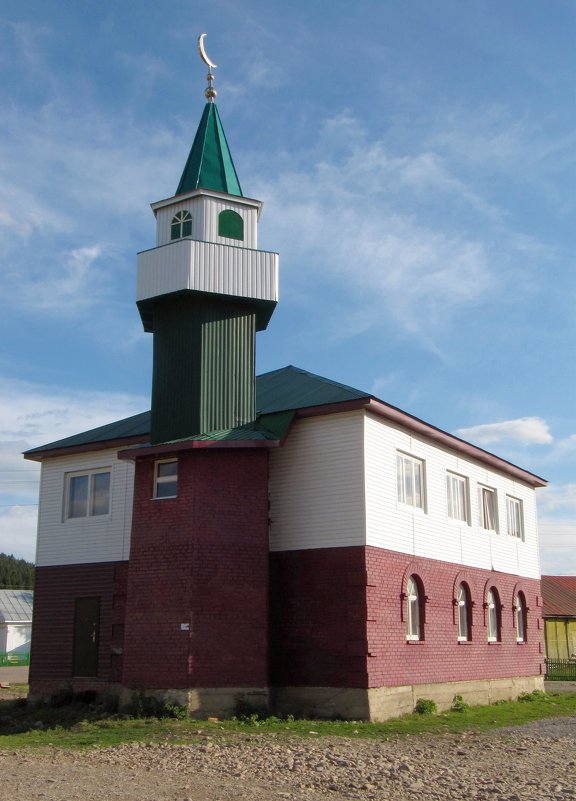 Новая мечеть - Вера Щукина