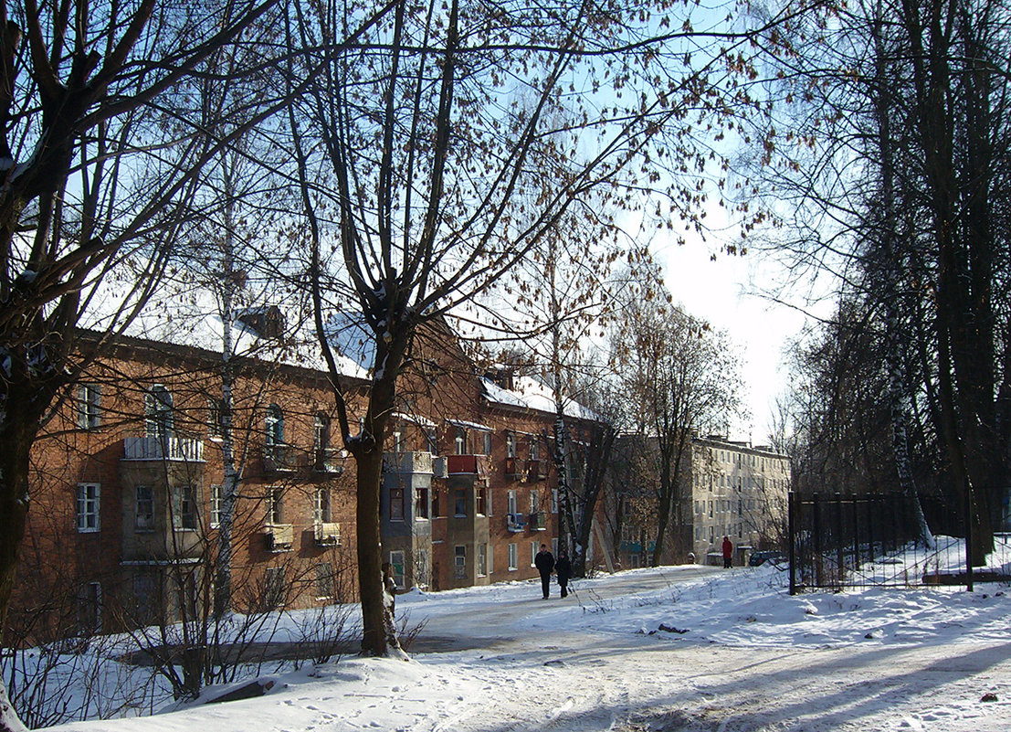 Подмосковный городок - Grey Bishop