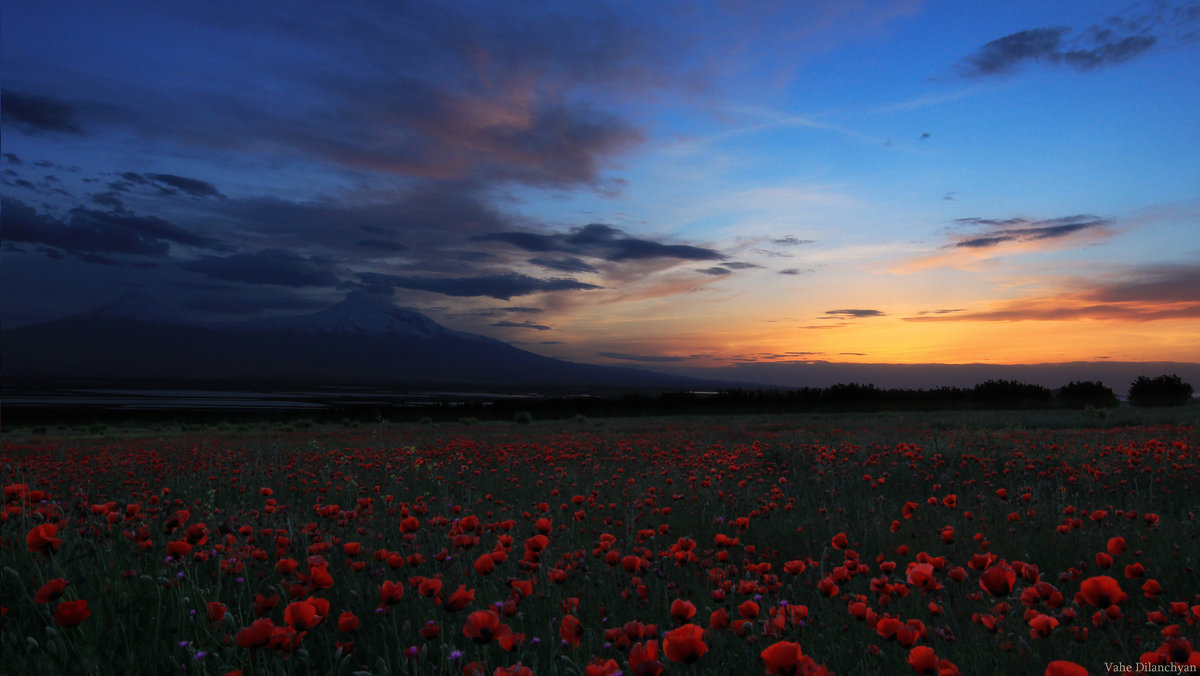 ARARAT - Vahe Dilanchyan 