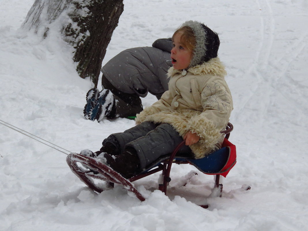 Детские радости зимой - Андрей Лукьянов