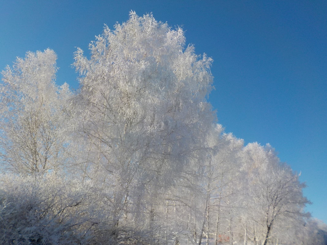 Зимний пейзаж - Ольга 