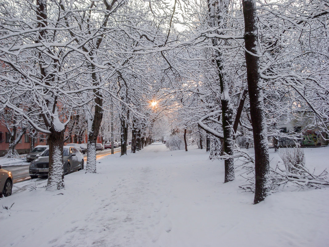 Утром -зима - Варвара 