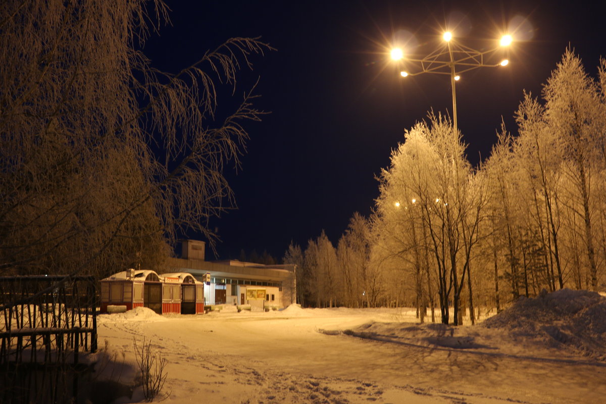 Снежный вечер - Ольга 