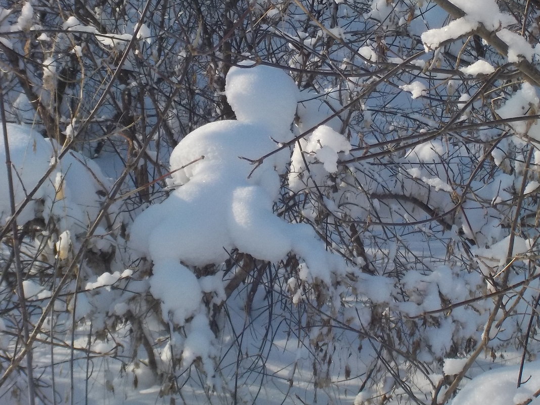 Снежный зверь - Ольга 