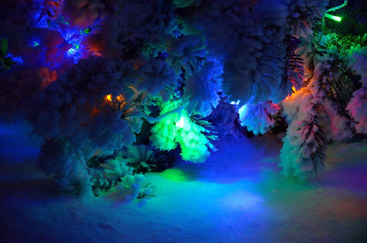 "Цветной" снег на елке - Александр Стариков
