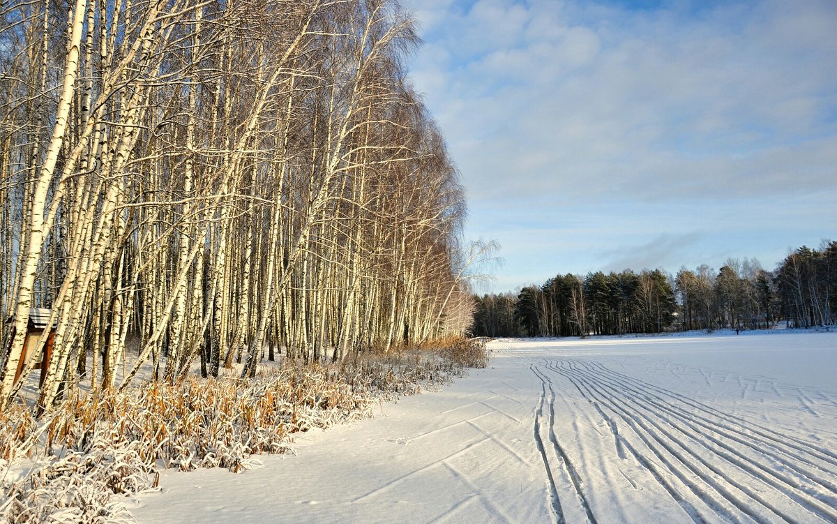 Лыжня по замёрзшему озеру - Милешкин Владимир Алексеевич 
