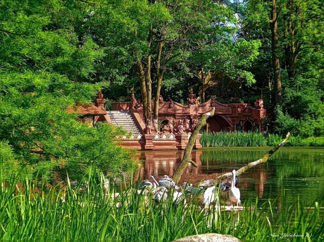 Hagenbeck Tierpark Hamburg - Nina Yudicheva