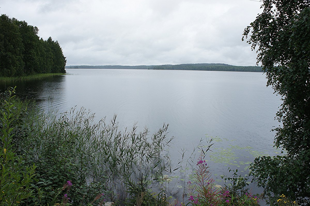 Озеро Юоярви - Елена Павлова (Смолова)