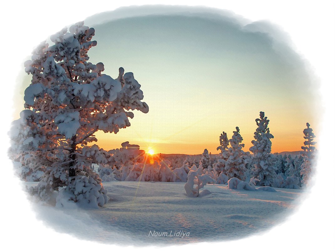 Зимняя благодать и красота - Лидия (naum.lidiya)