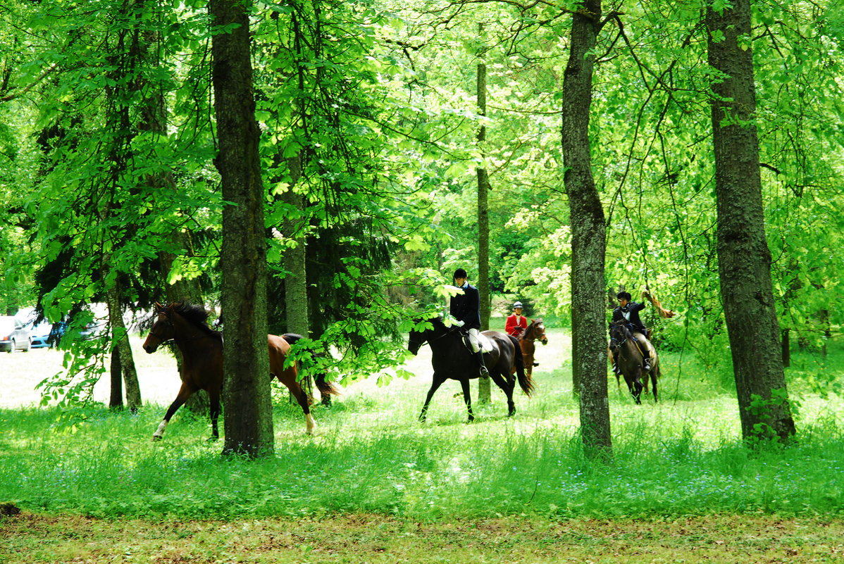 Охота с конями на лисицу - Kostas Slivskis