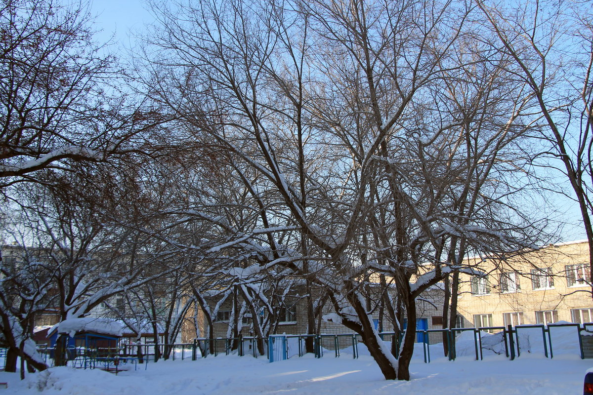 Бийск - Олег Афанасьевич Сергеев