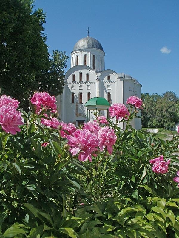 Борисоглебский - Сергей Тарабара