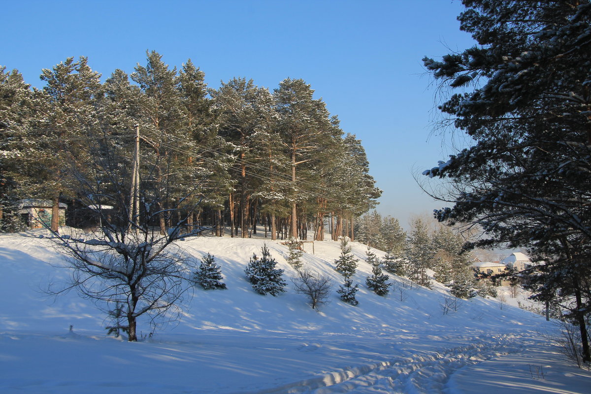 Бийск - Олег Афанасьевич Сергеев