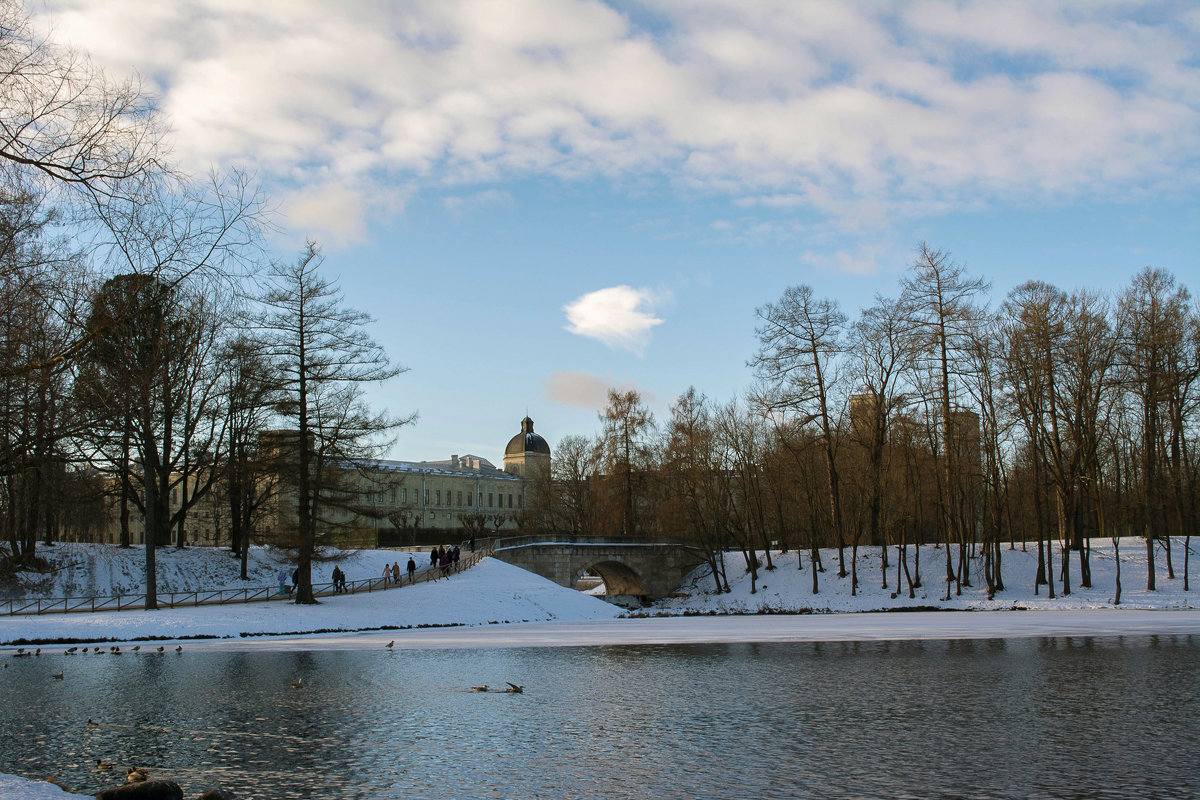 Вид на Гатчинский дворец - Владимир Демчишин