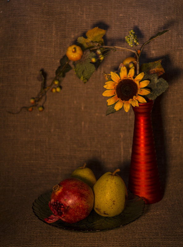 Цветы и плоды - Элен Шендо