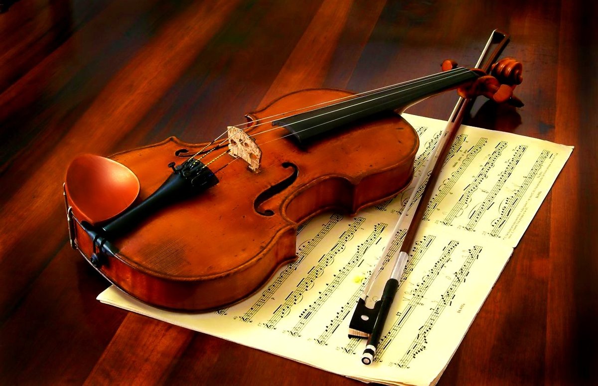 ~ Violin ~ - ~ Backstage ~ N.