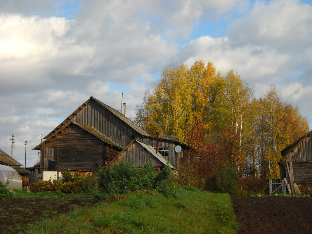 осень в деревне - Александр Попков