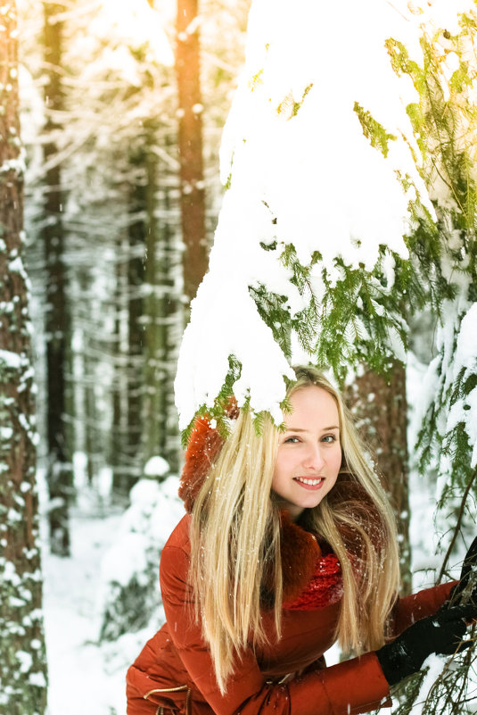 Великолепный зимний и снежный лес - Екатерина Гриб
