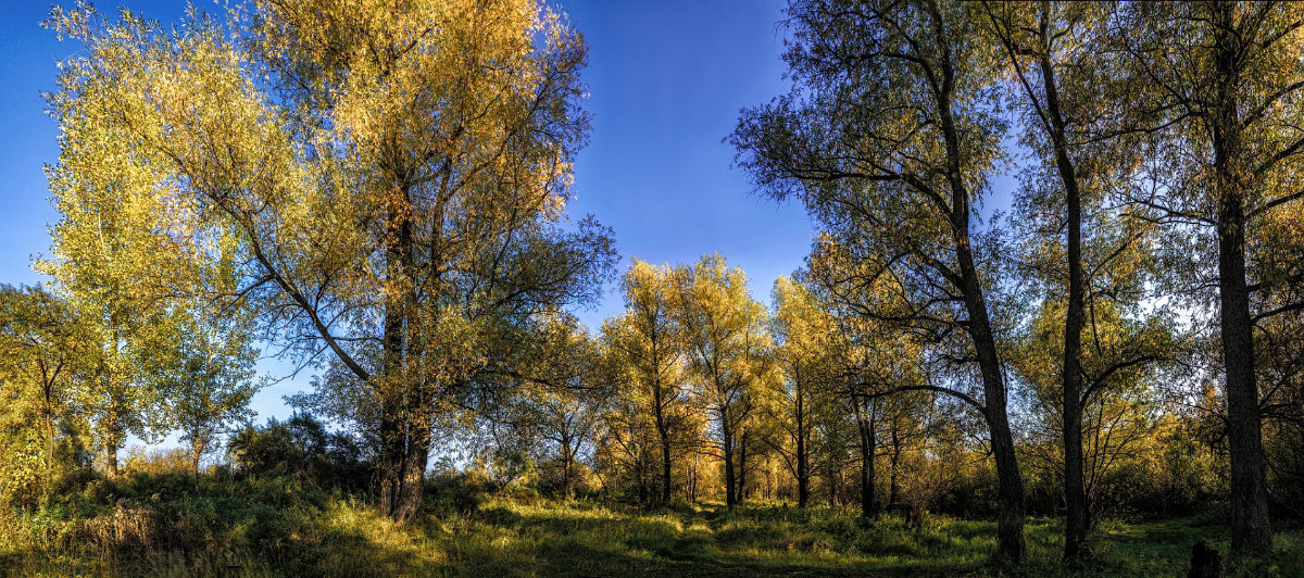 Осенний пейзаж - Vadim Piottukh 