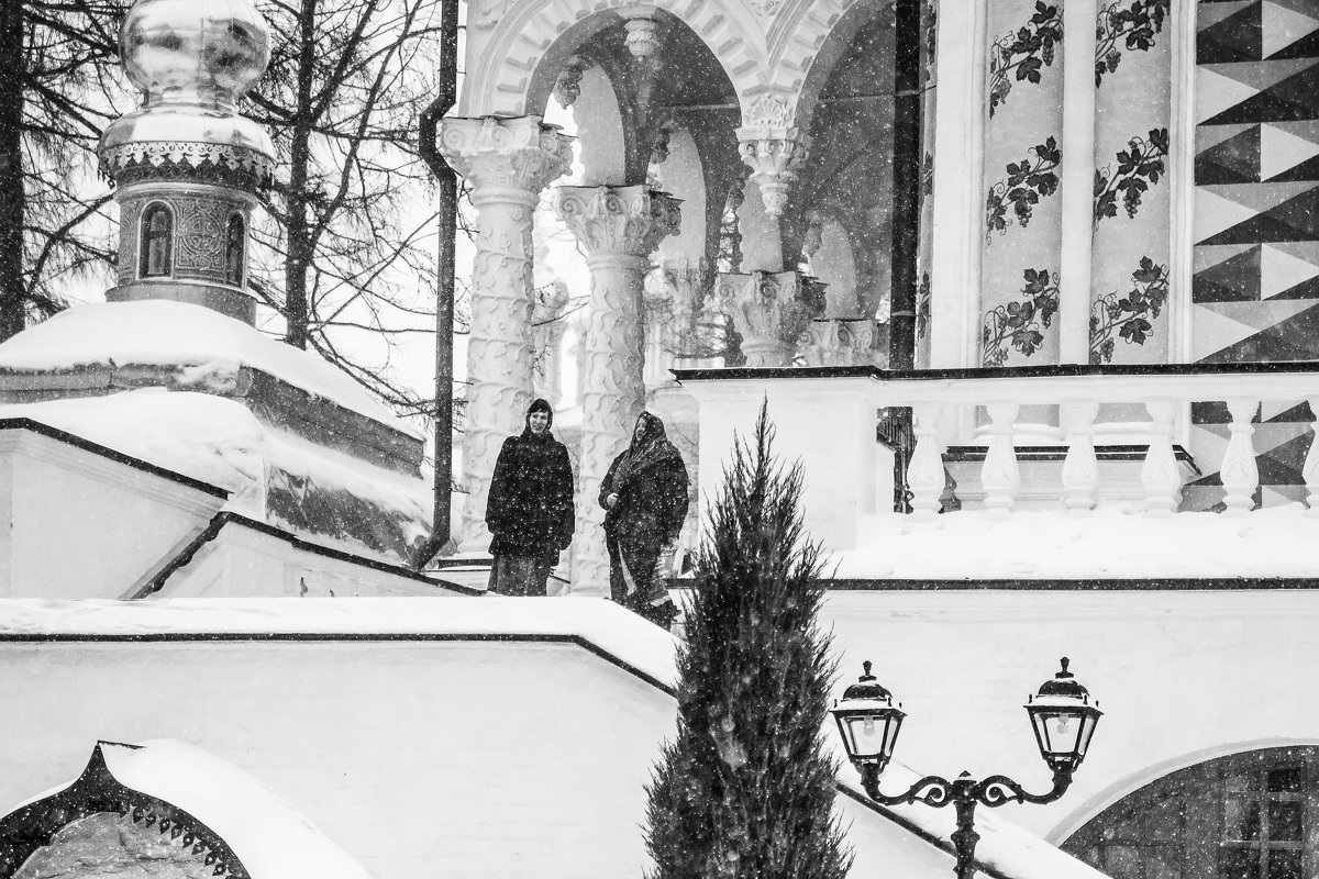 Лавра в снегу - Светлана Шмелева