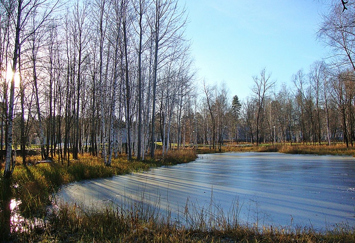 Тонкий лед на пруду - Лидия (naum.lidiya)
