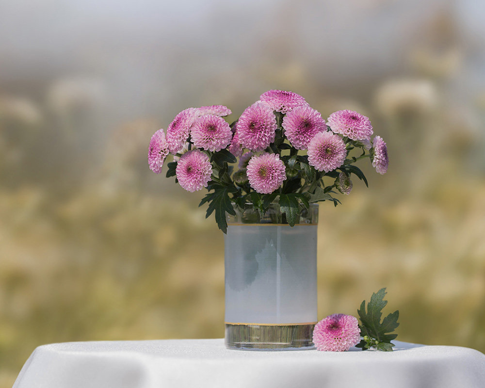 Маленькая розовая хризантема в стопочке - Елена Ахромеева
