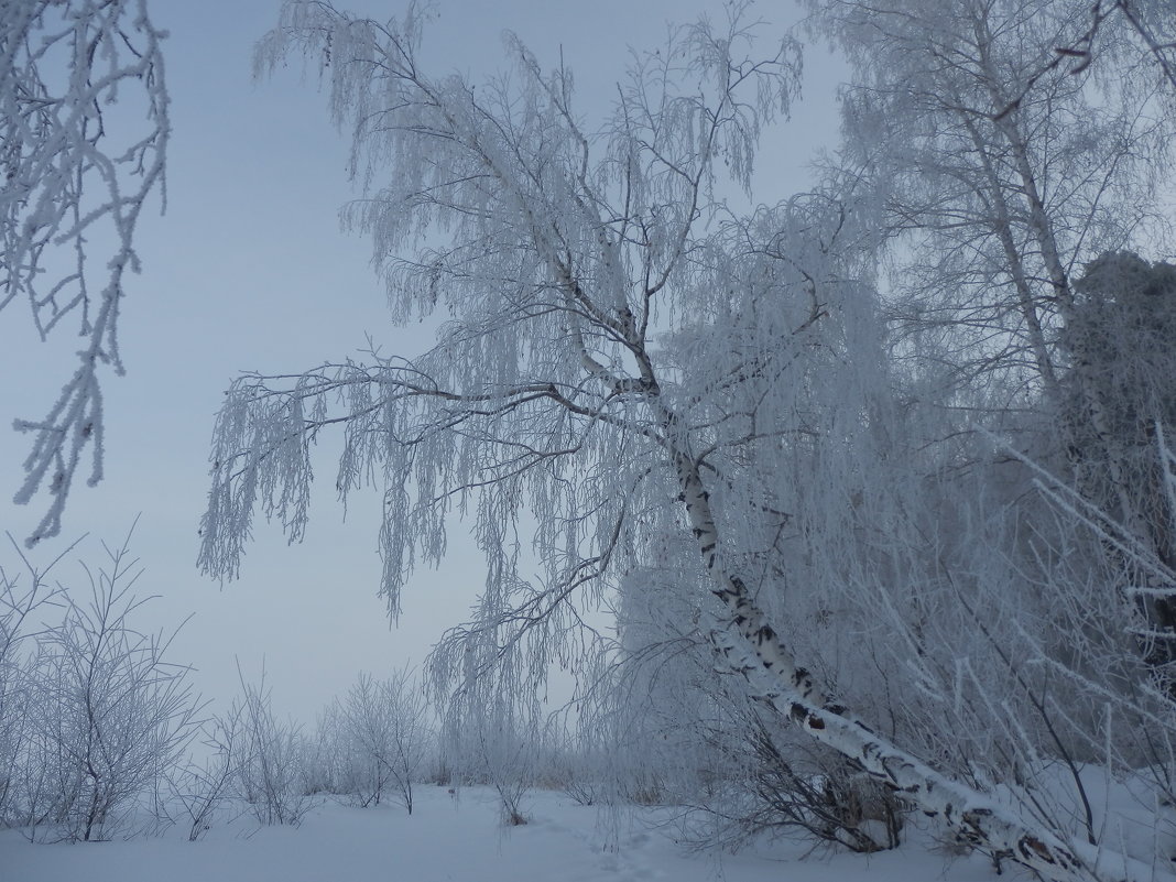 На фоне тумана - Владимир Звягин