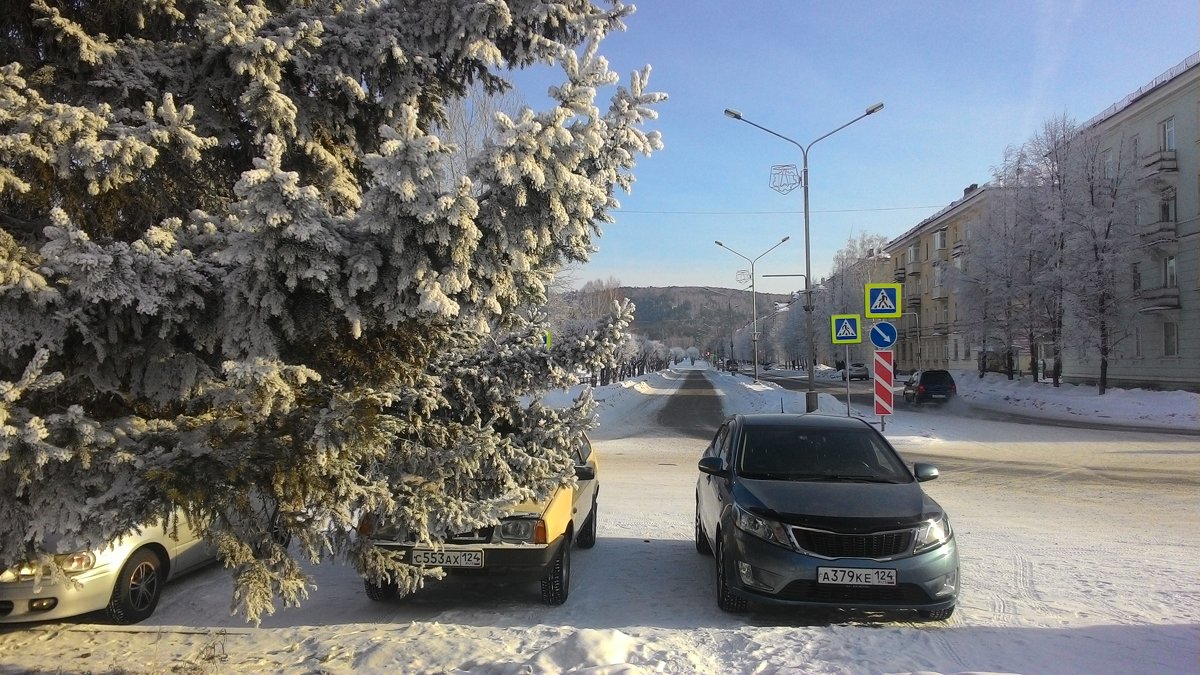 .... а кажется так тепло и солнечно - Владимир Звягин