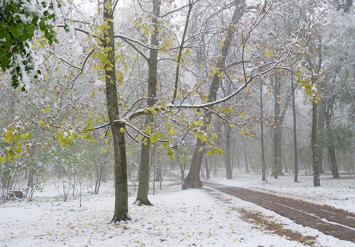 Снег в октябре - Сергей Тарабара