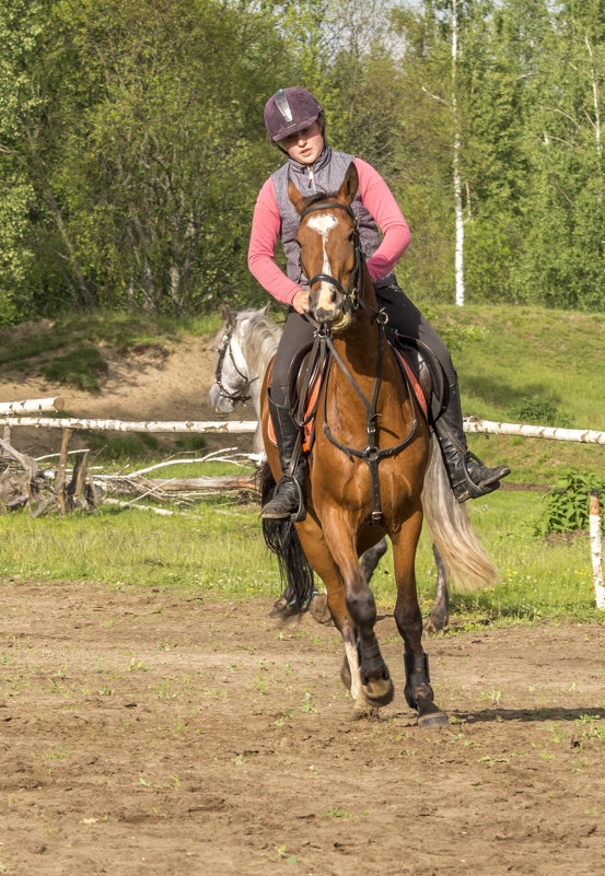 На коне - olesya 