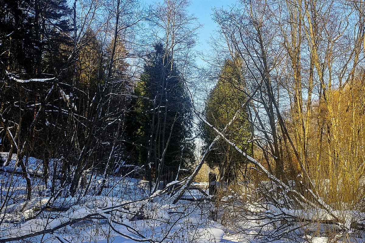 зимний пейзаж - megaden774 