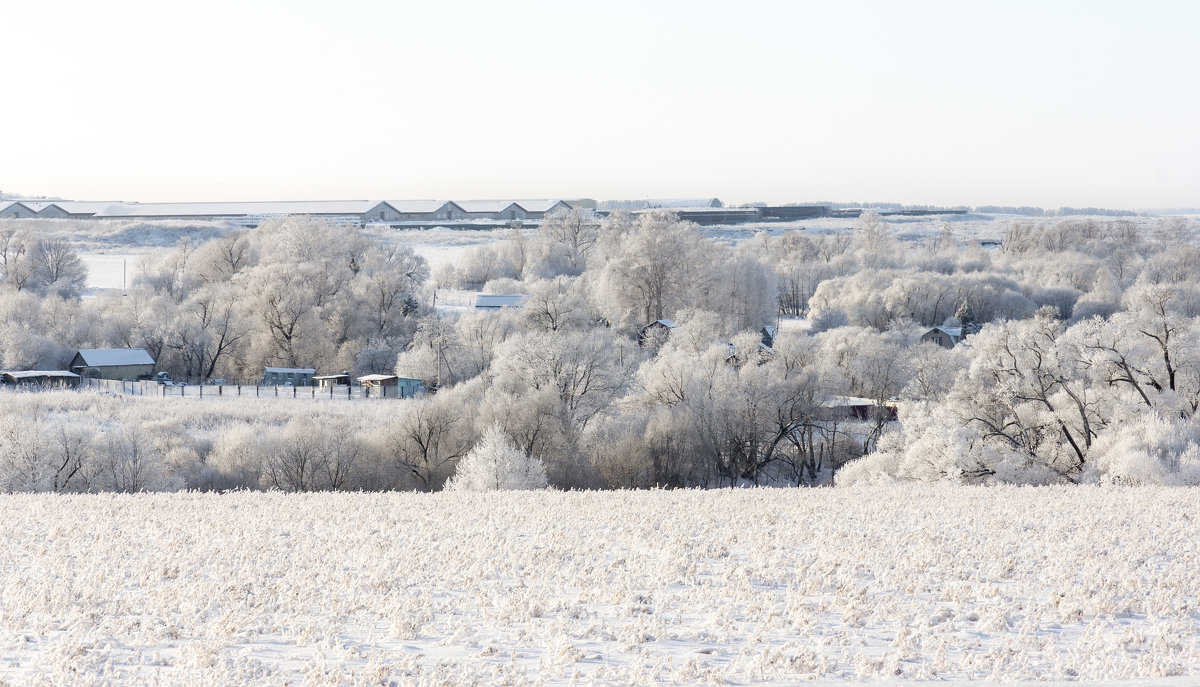 Зимний пейзаж - Alex Bush