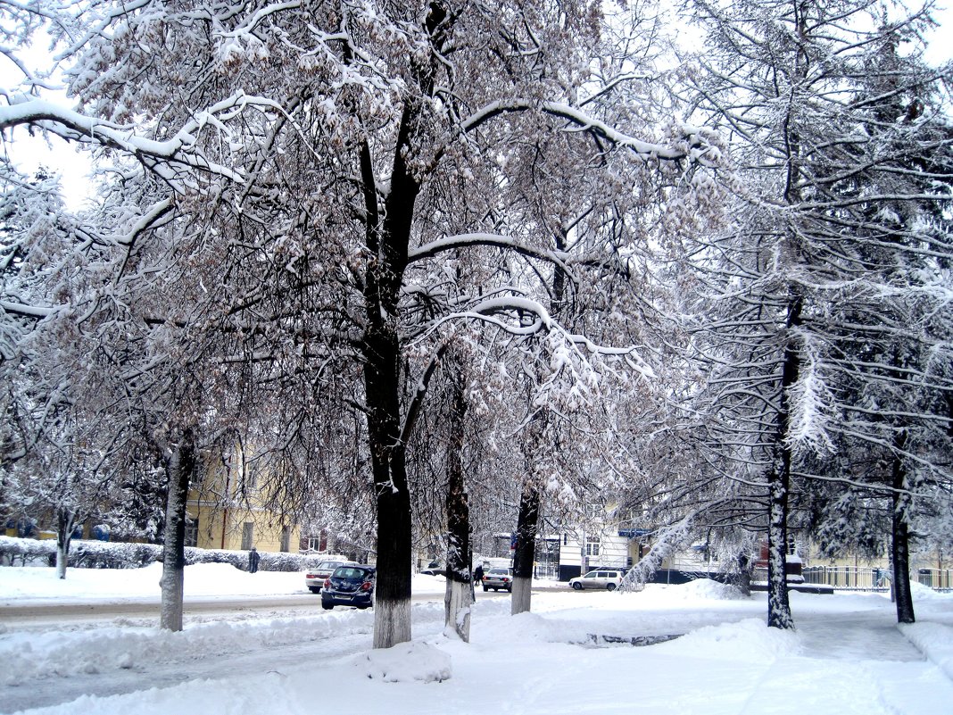 Снежной зимой в городе - Елена Семигина