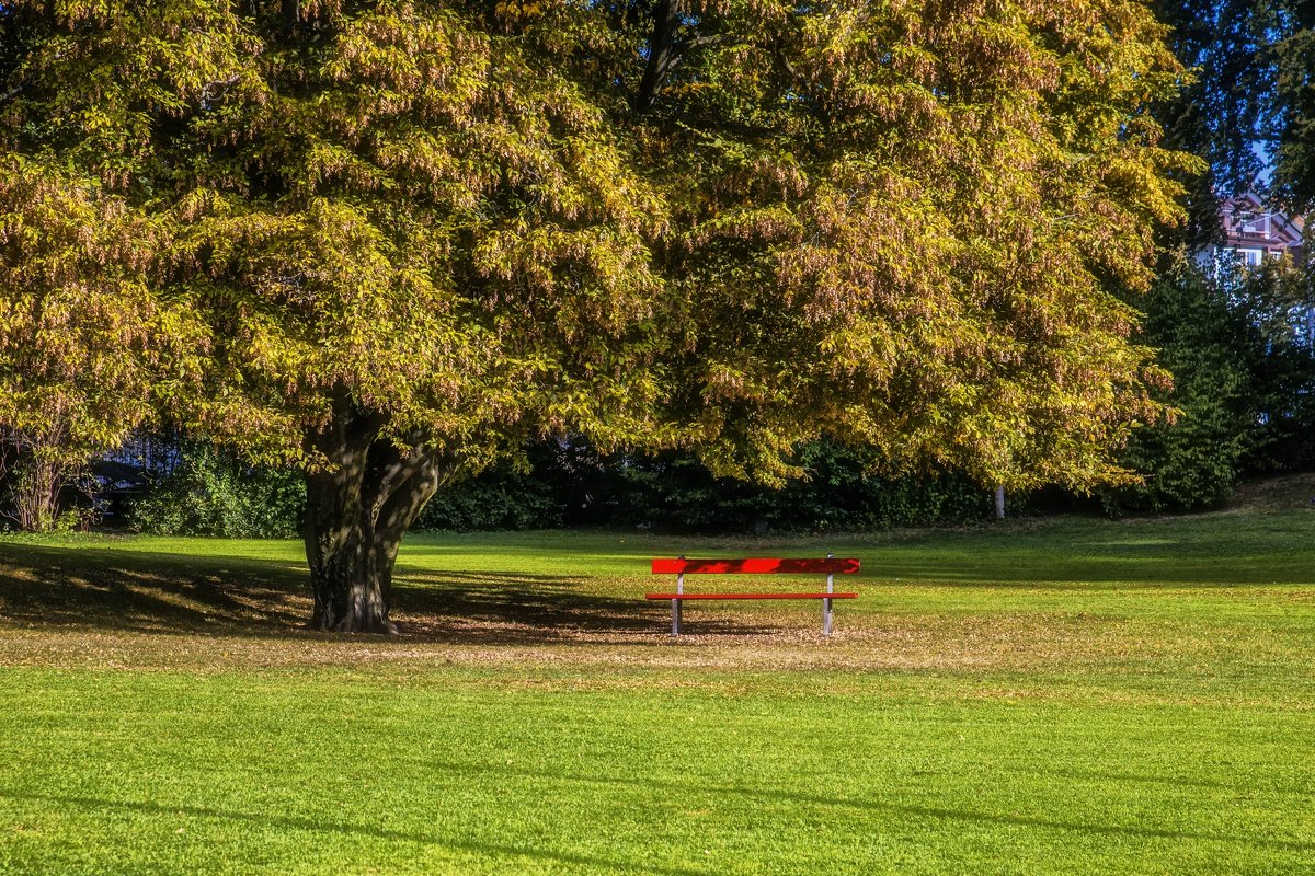 Autumn in the Park - Dmitry Ozersky