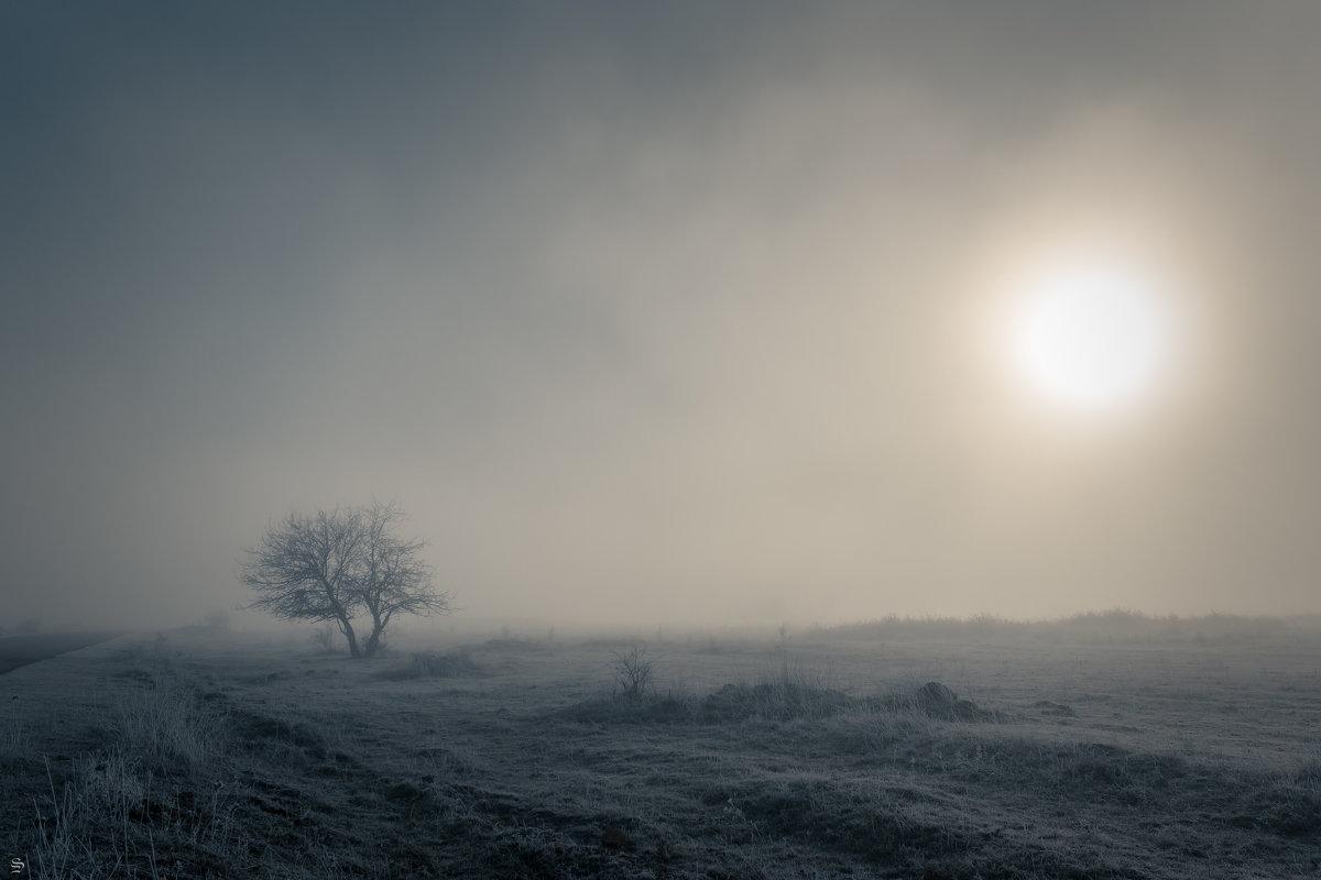 морозное утро - Sergey Bagach