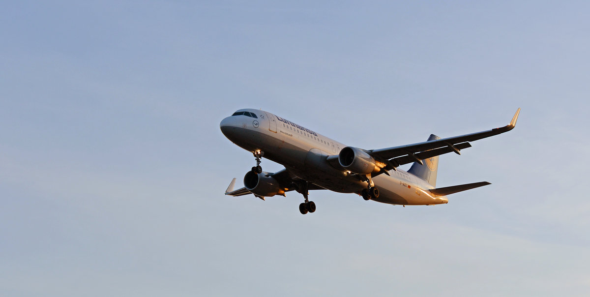 Airbus 320 - Олег Савин