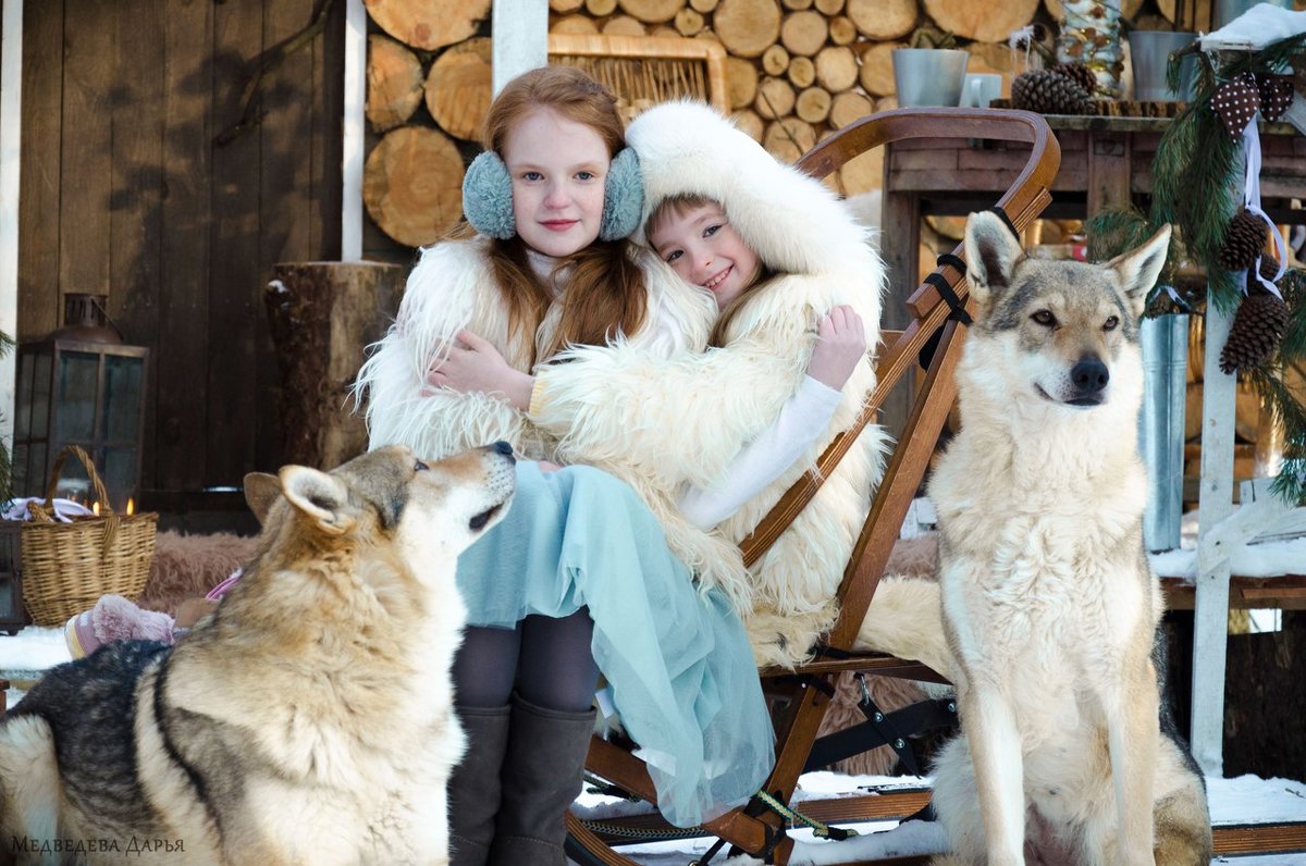 Девчонки с волками - Дарья Медведева