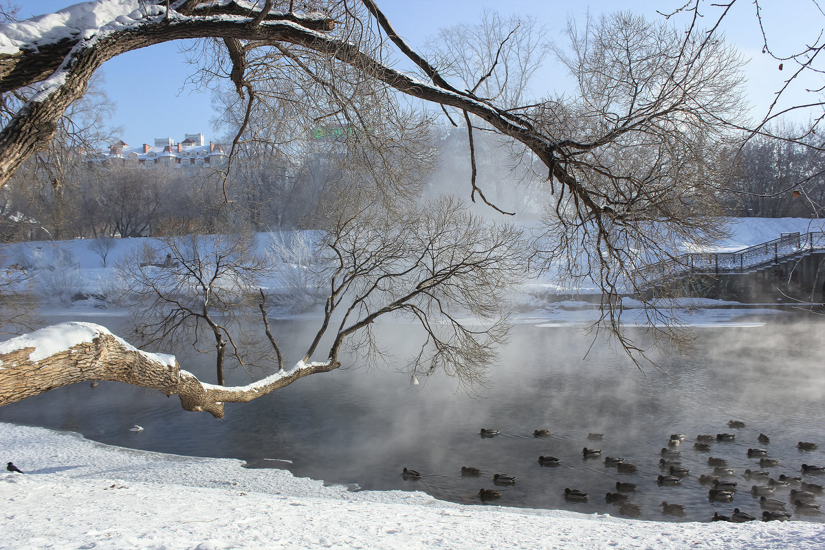 Морозное утро на реке Исеть - Татьяна Грищук