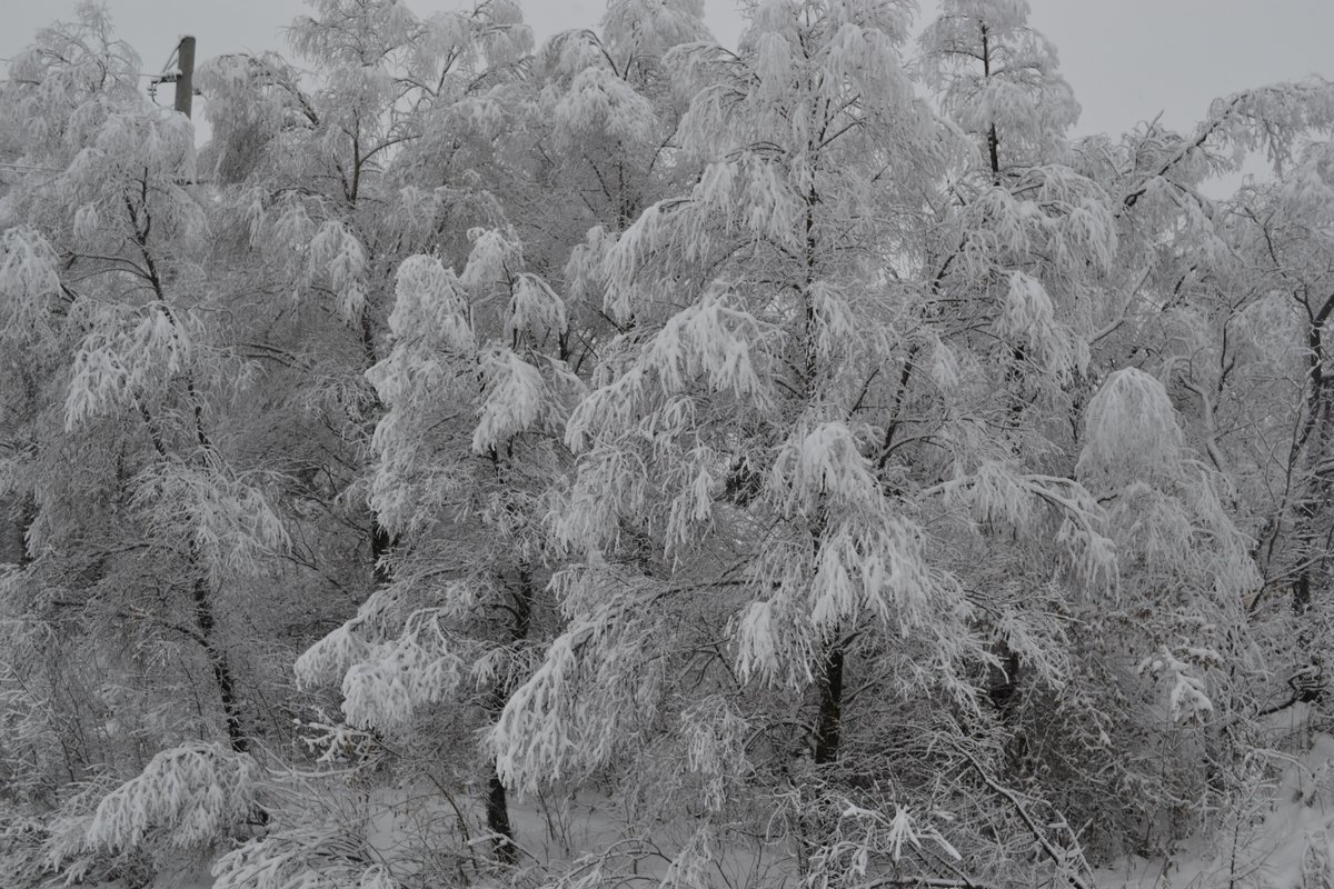 Зима вяжет снежные кружева. - Tatiana Lesnykh Лесных