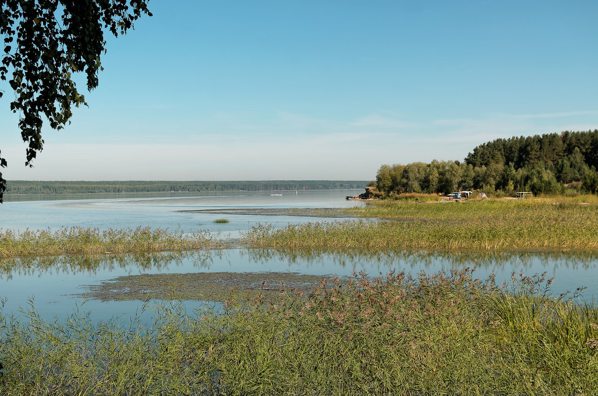 Иванов лог, Обское водохранилище - Дмитрий Конев