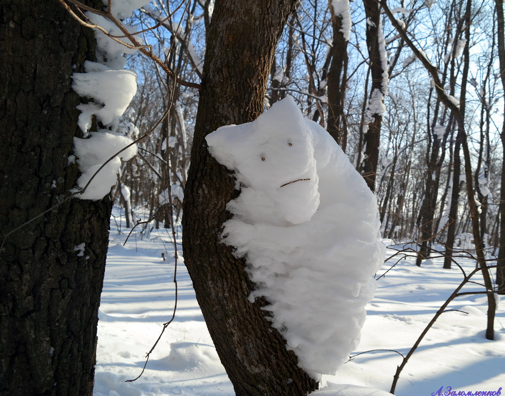 К вопросу о снежных зверушках - Андрей Заломленков
