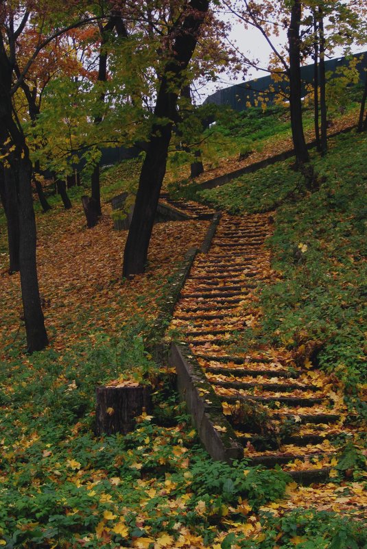 Лестница в осень... - Павел Зюзин